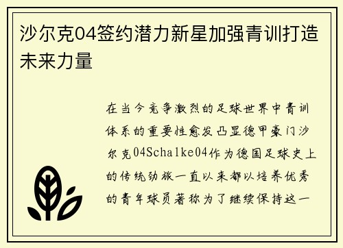 沙尔克04签约潜力新星加强青训打造未来力量